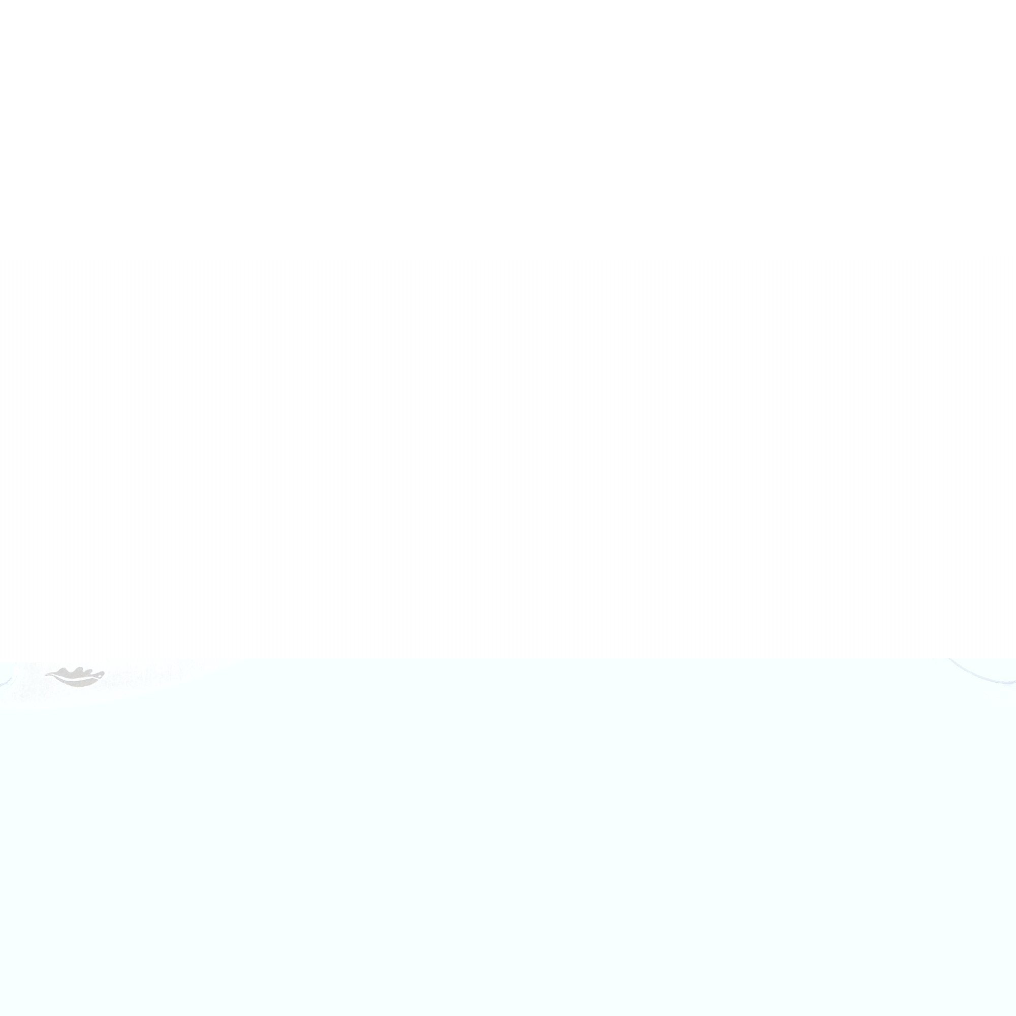 Medium Claw Smooth Knife - 8Cr13MoV Steel - Dealer - Honey Badger Knives - HB1149